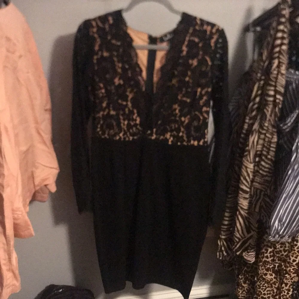 Lulus - Picture 2 of 4